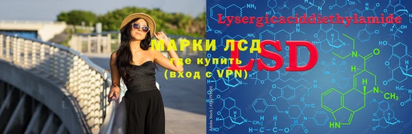 сатива Арсеньев
