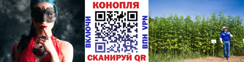 сколько стоит  Опочка  Конопля VHQ 
